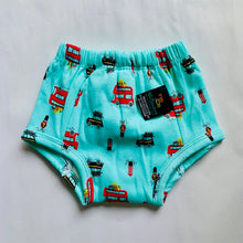 Load image into Gallery viewer, Padded Underwear | Potty Training Pants
